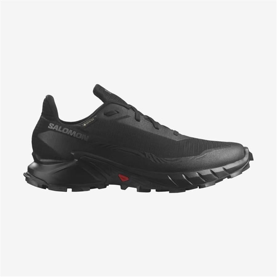 Salomon Alphacross 5 Gtx