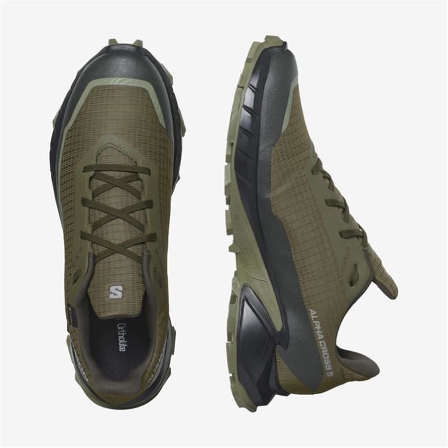 Salomon Alphacross 5 Gtx