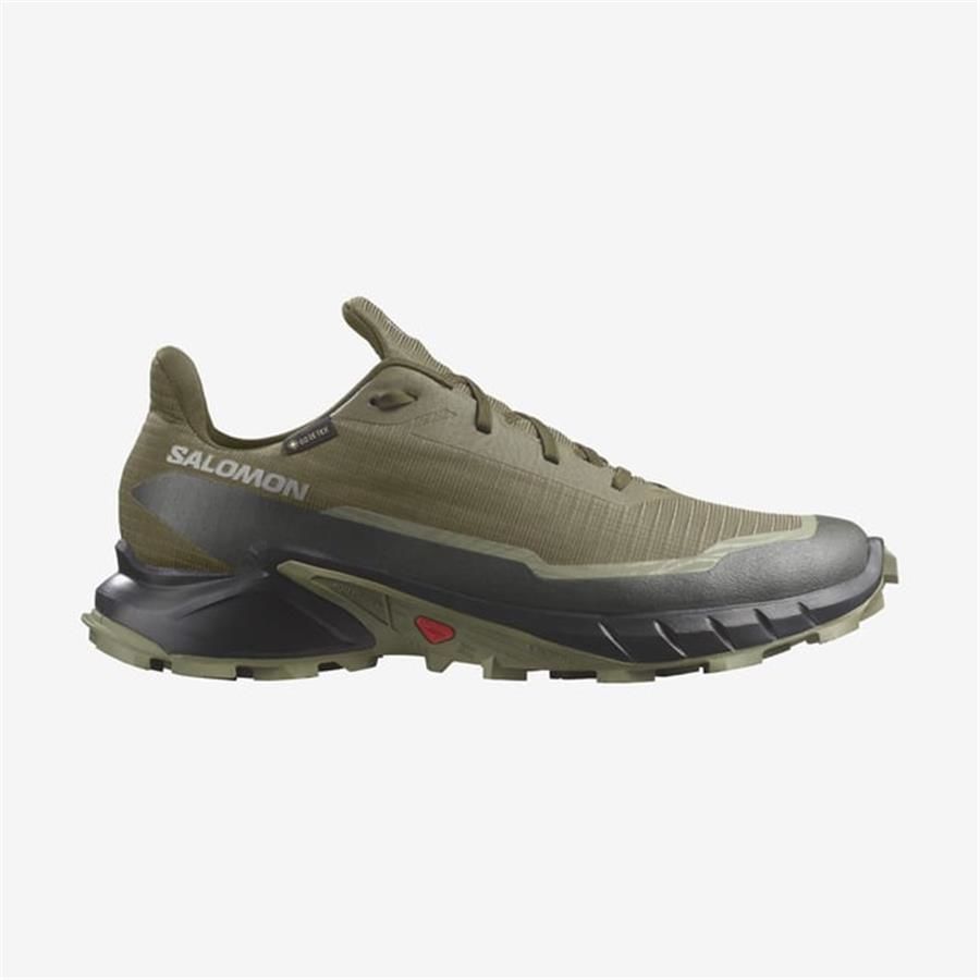 Salomon Alphacross 5 Gtx