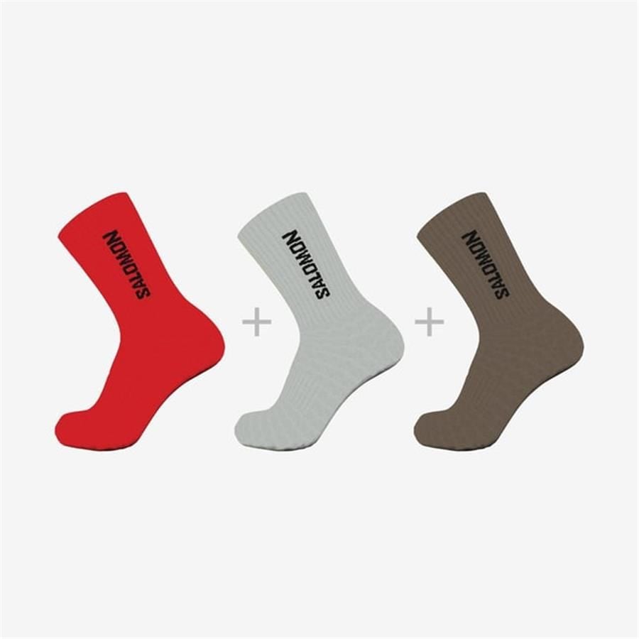 Salomon Everyday Crew 3Pack Çorap