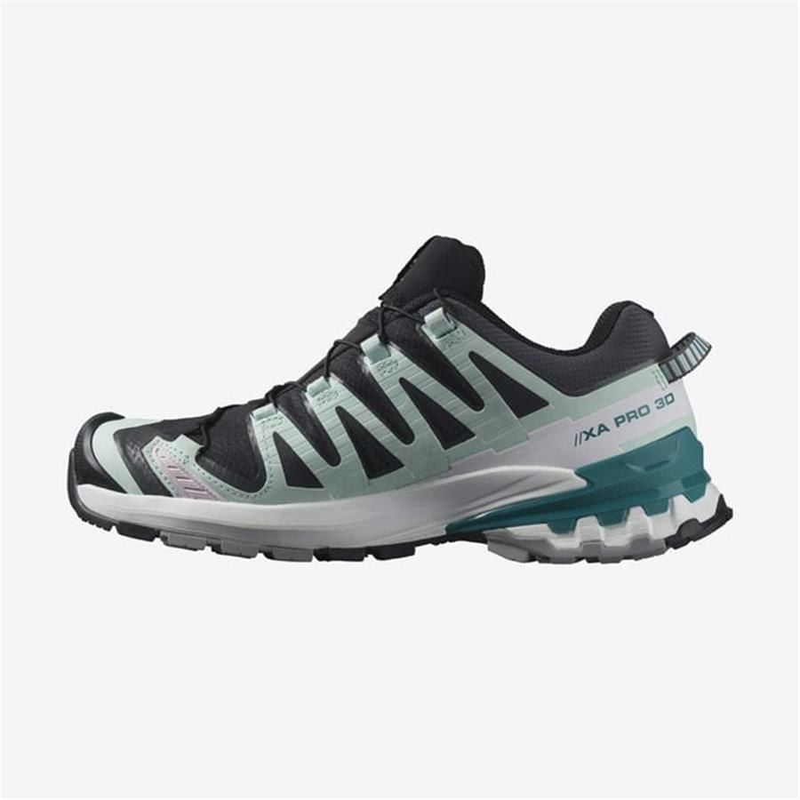 Salomon Xa Pro 3D V9 Gtx W