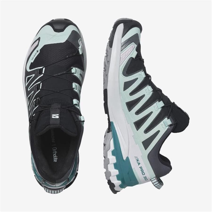 Salomon Xa Pro 3D V9 Gtx W